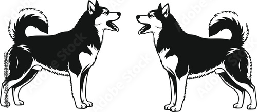 A professional photographer captures a stunning landscape scene using a high-end camera setup on a tripod during the golden hour