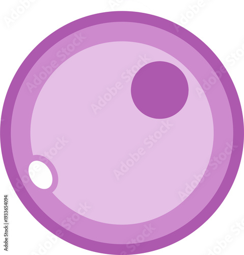 Human Female Egg Cell Ovum anatomy biology purple color
