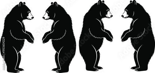 A professional photographer captures a stunning landscape scene using a high-end camera setup on a tripod during the golden hour