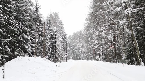 Frozen forest pathway in the Russian countryside during heavy snowfall. Minimal winter scenery and peaceful outdoor environment.