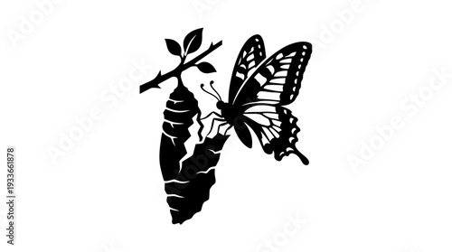 Black silhouette of a butterfly emerging from a cracked cocoon on a branch with leaves, symbolizing transformation, metamorphosis, growth, and new life in a natural, elegant vector illustration.