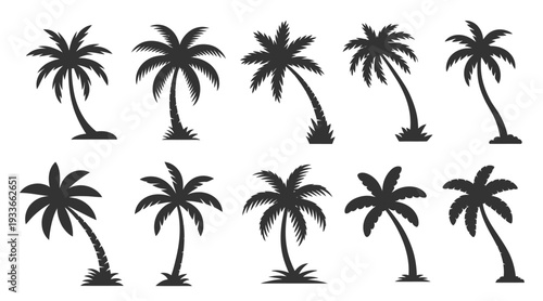  palm trees set silhouettes isolated on white background 