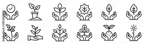  planting showcasing a hand placing a seedling into the soil