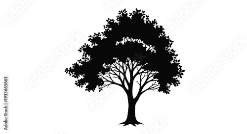 A black silhouette of a tree with a sprawling canopy and branches