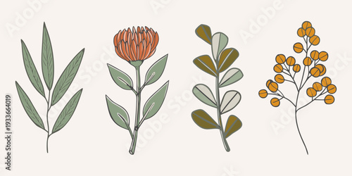 Botanical illustration featuring diverse plant stems and floral elements