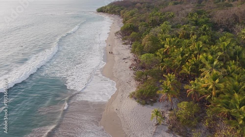 Forward aerial movement along tropical palm tree coastline and sandy beach with ocean waves