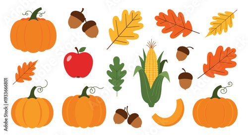 Variety of autumn elements including orange pumpkins, acorns, corn, and colorful fall leaves arranged for seasonal harvest decorations.
