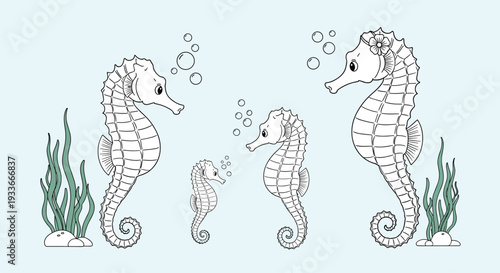 Family of seahorses in different sizes swimming together underwater surrounded by bubbles and green seagrass in a simple line art style.