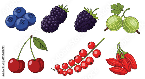 Detailed set of various berry illustrations including blueberries, blackberries, cherries, red currants, and gooseberries on white background.