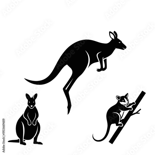 Kangaroo Silhouettes in Various Poses.