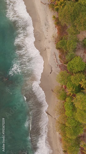 Static aerial top down view of turquoise ocean waves meeting sandy tropical beach and green palm trees