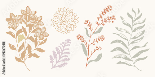 Botanical illustration featuring various sketched floral and foliage elements