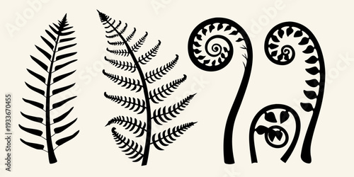 Stylized fern fronds in varying stages of uncurling presented as black silhouettes