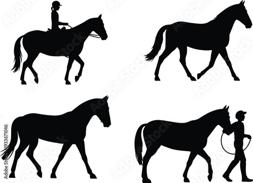 Collection of black horse silhouettes featuring riders and walking positions isolated on white background, vector illustration set for equestrian sports and ranch themed designs.