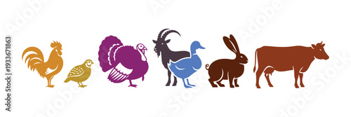 Collection of rural animal icons including rooster, quail, turkey, goat, duck, hare, pig, and cow in vector format.