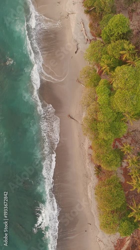 Aerial top down pullback over turquoise ocean waves and sandy tropical beach with palm trees