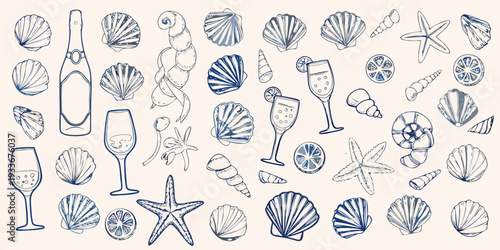 Blue line drawing of seashells citrus and champagne glasses
