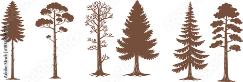Various Pine and Fir Tree Silhouettes Set for Forest Landscapes, Outdoor Nature Adventure, and Wild Woodworking Design