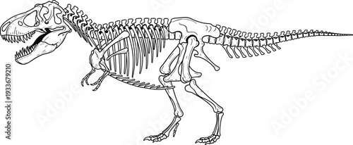 Tyrannosaurus rex skeleton silhouette, dinosaur bones illustration, prehistoric fossil anatomy, paleontology study drawing, side profile skeletal structure, cad drawing flat vector illustration