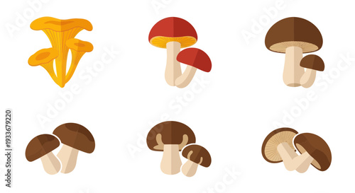 Mushroom Variety Flat Icons Set, Edible Fungi Collection