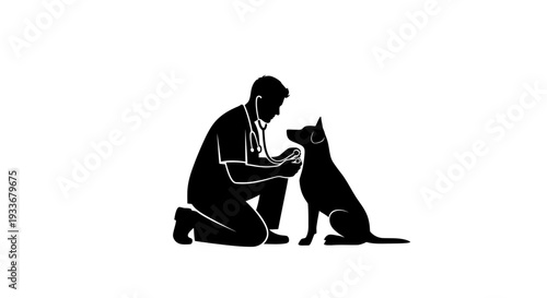 Veterinarian Examining Dog Silhouette