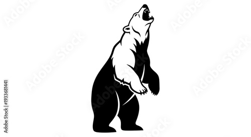 Dynamic monochrome illustration of a powerful wild bear standing upright and roaring majestically