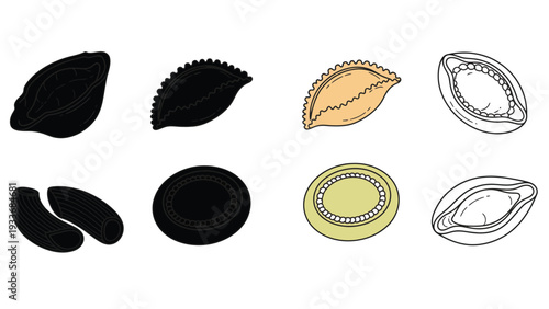 A set of colorful clam shell illustrations and silhouettes on white background
