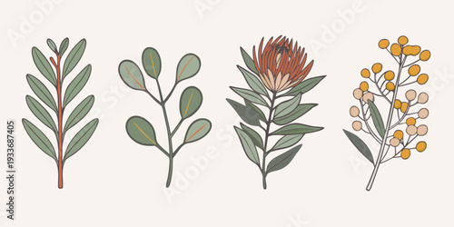 Botanical illustration featuring various plant stems and foliage designs