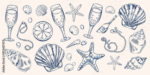 A charming collection of seashells champagne flutes and marine life sketches