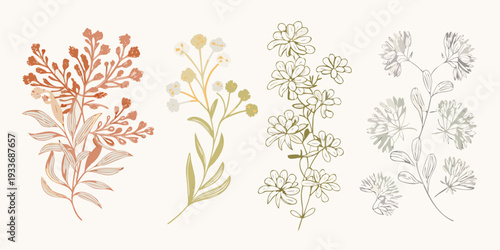 Botanical illustration featuring several delicate floral and foliage arrangements