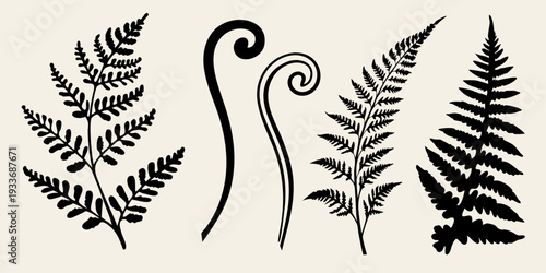 Elegant black silhouettes of fern fronds and curled fiddleheads