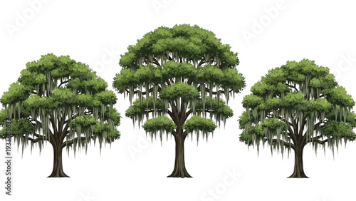 Three Green Trees with Draping Moss in a Row three trees