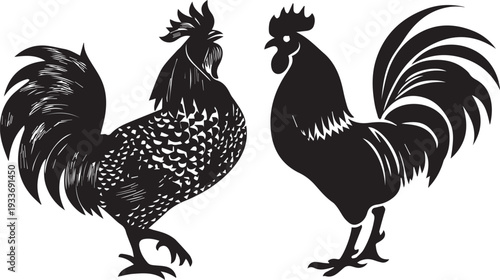 Rooster silhouette logo, flat chicken cock vector for agriculture vintage Rooster isolated on white background