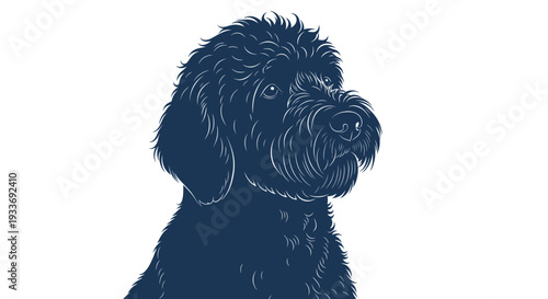 Dark Blue Doodle Dog Portrait, Fluffy Fur, White Background, Line Art Illustration