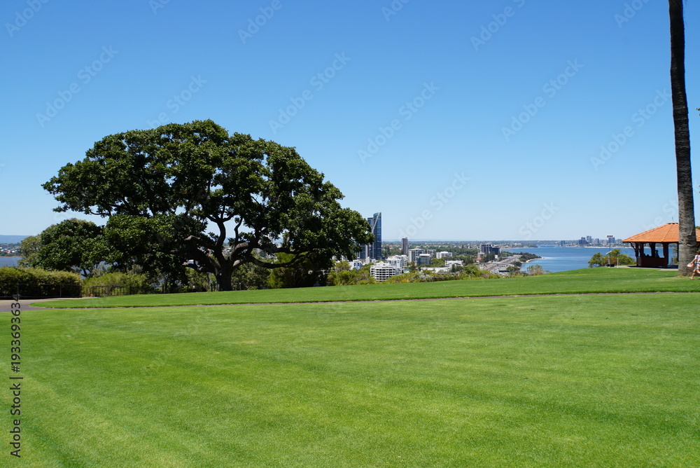Fototapeta premium Perth view from Kings Park - Capital of Western Australia