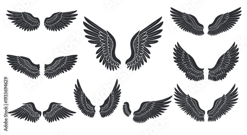 Extensive set of ten pairs of detailed black wings in different styles like angel and bird for graphic design tattoos and gothic art projects.