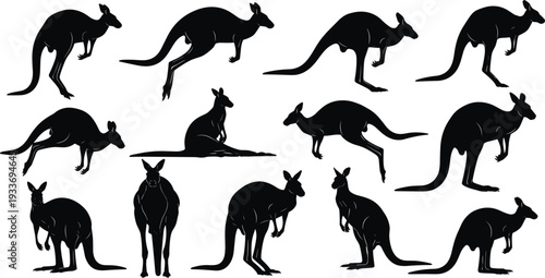 Kangaroo Silhouette Collection with Jumping and Standing Poses Isolated on White Background Australian Wildlife Vector Set