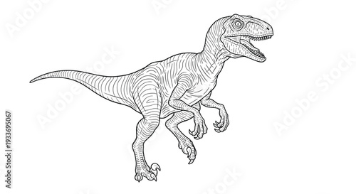 Detailed black and white line art illustration of a velociraptor dinosaur in an aggressive pose with its mouth open.