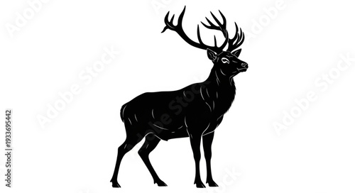 Stag with Large Antlers Standing.