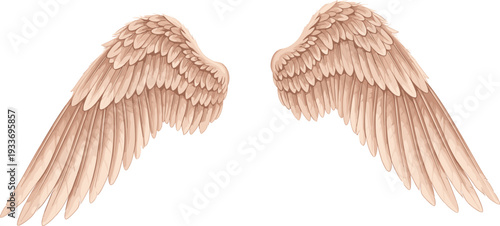 Detailed vector illustration of soft beige angel wings with realistic layered feathers isolated on white background for spiritual design, heavenly concepts, and divine artistic projects.