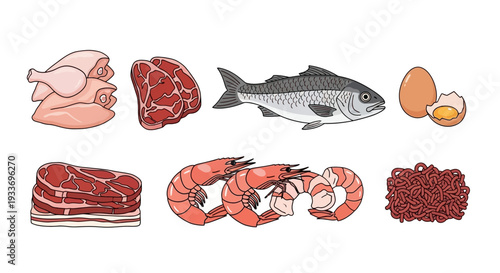 Illustrated assortment of fresh meats seafood and eggs in cartoon style.