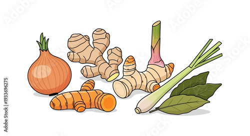 Illustrated assortment of fresh herbs and spices including ginger turmeric onion and lemongrass.