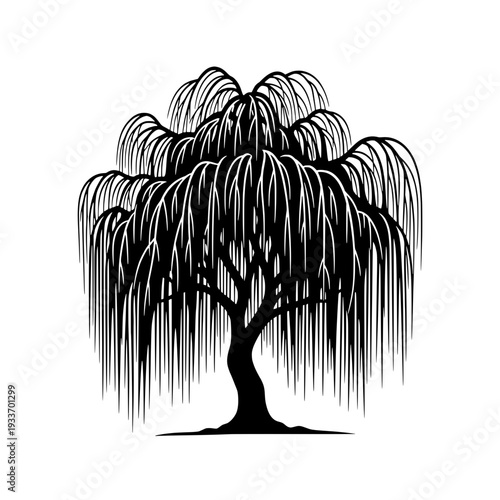 A weeping willow tree stands alone in a serene landscape, viewed from the front.