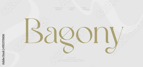 Luxury elegant modern beauty logo alphabet font. Typography fashion classic letters serif italic fonts wedding vintage logos. vector illustration
