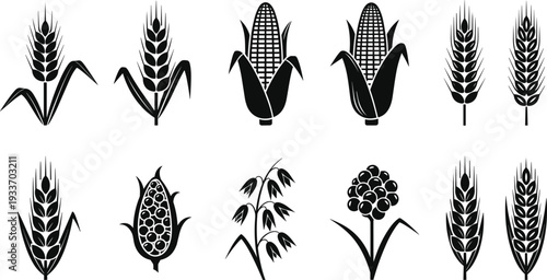 Black and white agricultural crop icon set, wheat corn rice barley grain silhouette vector illustration for farming food design
