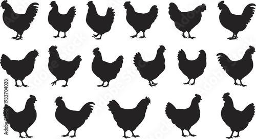Collection of Black Chicken and Rooster Silhouettes in Various Poses on White Background bird
