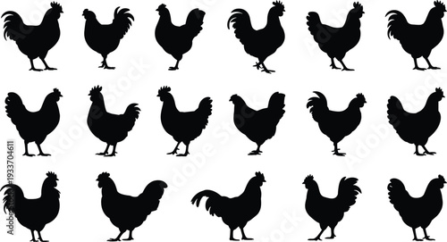 Row of Black Rooster Silhouettes in Different Poses on White Background chicken bird
