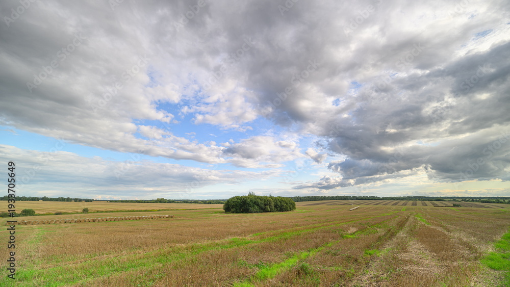 Obraz premium Expansive and Vast Agricultural Landscape Under Dramatic and Striking Skies Above