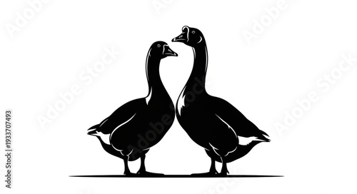 Two Ducks Standing Together Silhouette.
