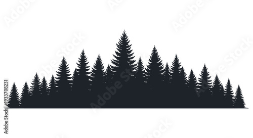 A dense dark forest of evergreen trees is depicted against a blank white background silhouette high quality professional